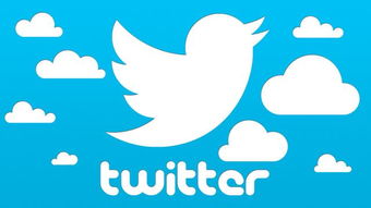 2022年最新免费分享3组Twitter账号密码 推特账号共享